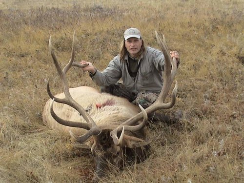 2009 AB Elk.jpg