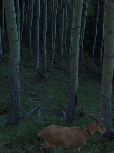 121_0975.jpg