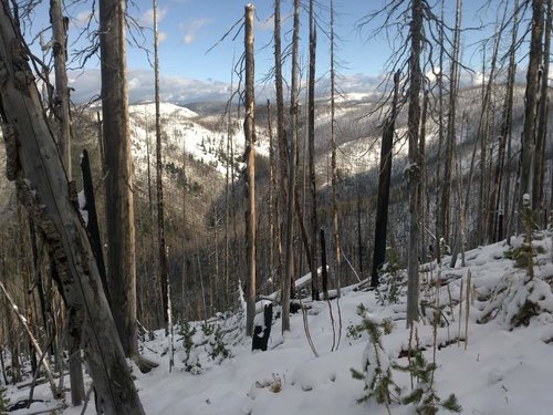 DSC00034.jpg DSC00034.jpg