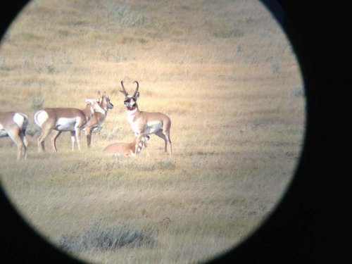 johnny loper lip curling does.jpg