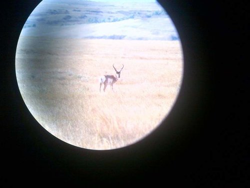 scouting pic 4.jpg