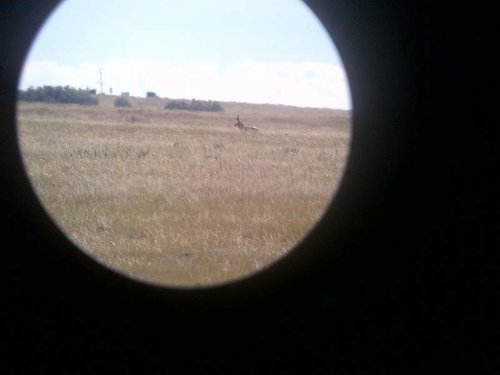 scouting pic 3.jpg