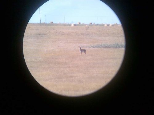 scouting pic 2.jpg