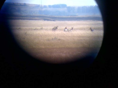 scouting pic.jpg
