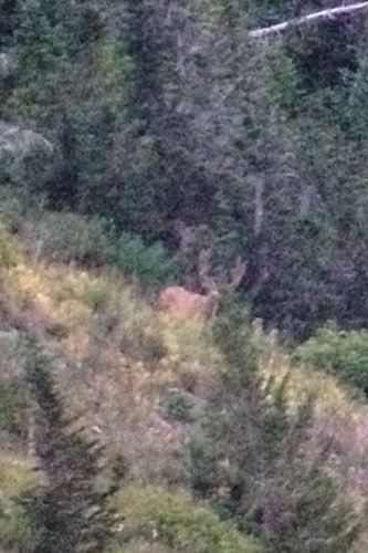 2013 utah montser.PNG