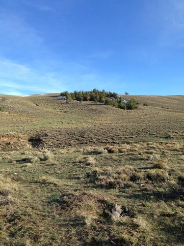 photo (42).JPG.jpg photo (42).JPG.jpg