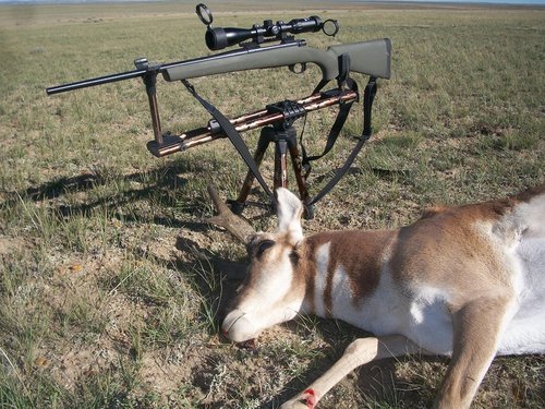 Wyoming 2013 010.JPG