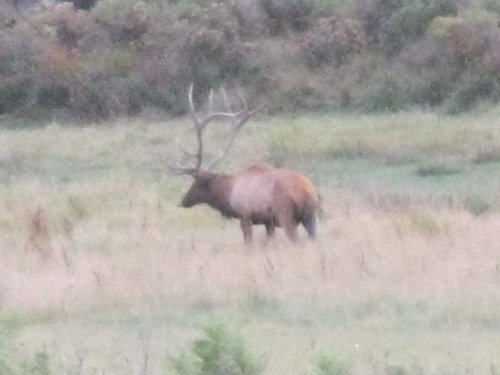 elk hunt 031.jpg