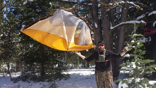 Tent in Tree.jpg