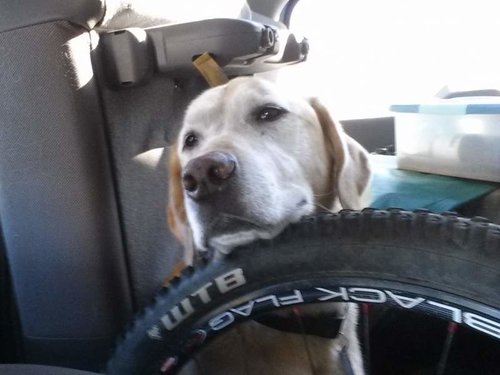 2013-10-13 15.26.21.jpg