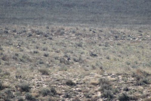 186.jpg