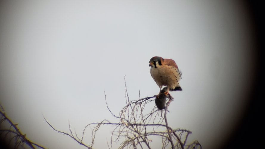 20191215_152925.jpg 20191215_152925.jpg