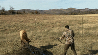 50F7DF3E-F126-49AE-8CB5-2281CD6B08B0.gif 50F7DF3E-F126-49AE-8CB5-2281CD6B08B0.gif