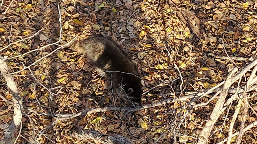 20221111_153428.jpg 20221111_153428.jpg