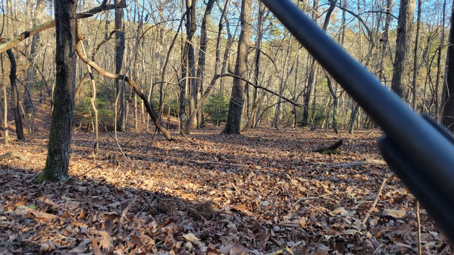 20221117_151328.jpg 20221117_151328.jpg