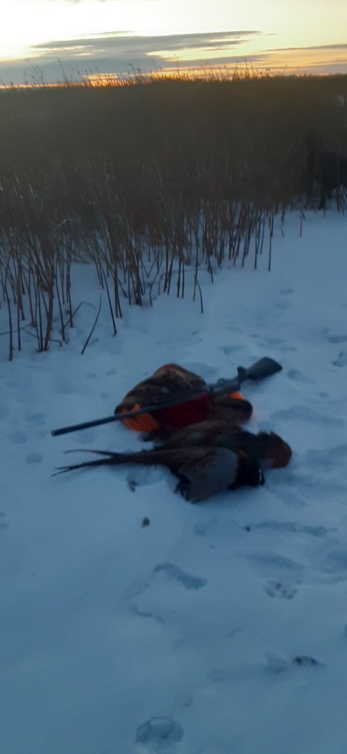 20221118_164729.jpg 20221118_164729.jpg