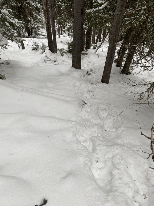 B398C825-9C18-4736-91EC-A0B04D5C8A6F.jpeg B398C825-9C18-4736-91EC-A0B04D5C8A6F.jpeg