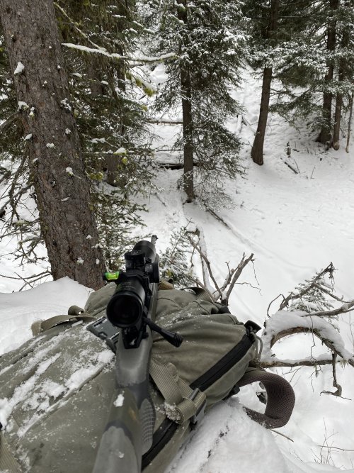 51CD3209-5FBF-4DA8-B673-9DE534E9A4D1.jpeg 51CD3209-5FBF-4DA8-B673-9DE534E9A4D1.jpeg