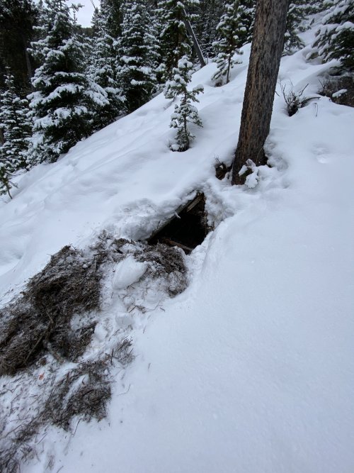 C0B826ED-24CD-42C0-8BF6-6D1128B753F7.jpeg C0B826ED-24CD-42C0-8BF6-6D1128B753F7.jpeg