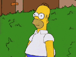 558DEE70-54FA-42D5-99DC-A7B0615FAF4C.gif