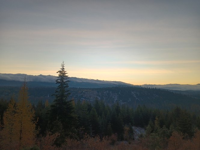 IMG_20221119_065134903_HDR.jpg