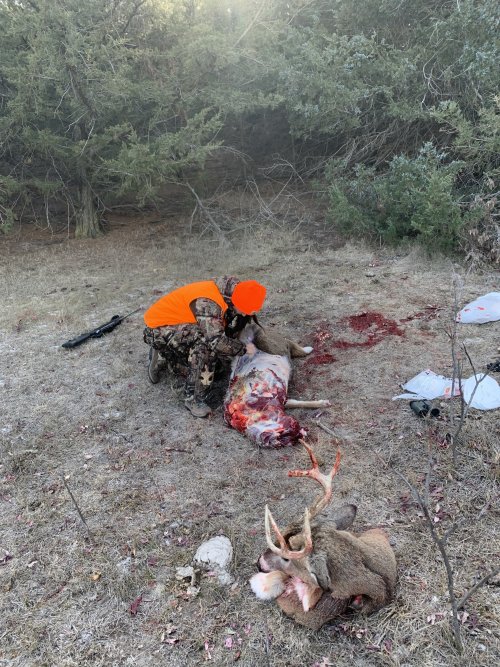 29257FD1-41B5-4BCE-A68A-C14ED20579C2.jpeg 29257FD1-41B5-4BCE-A68A-C14ED20579C2.jpeg