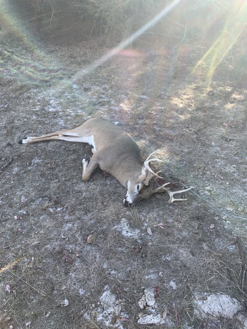 01A3473F-5105-44A8-A0A5-3E8CD0C7E00D.jpeg 01A3473F-5105-44A8-A0A5-3E8CD0C7E00D.jpeg