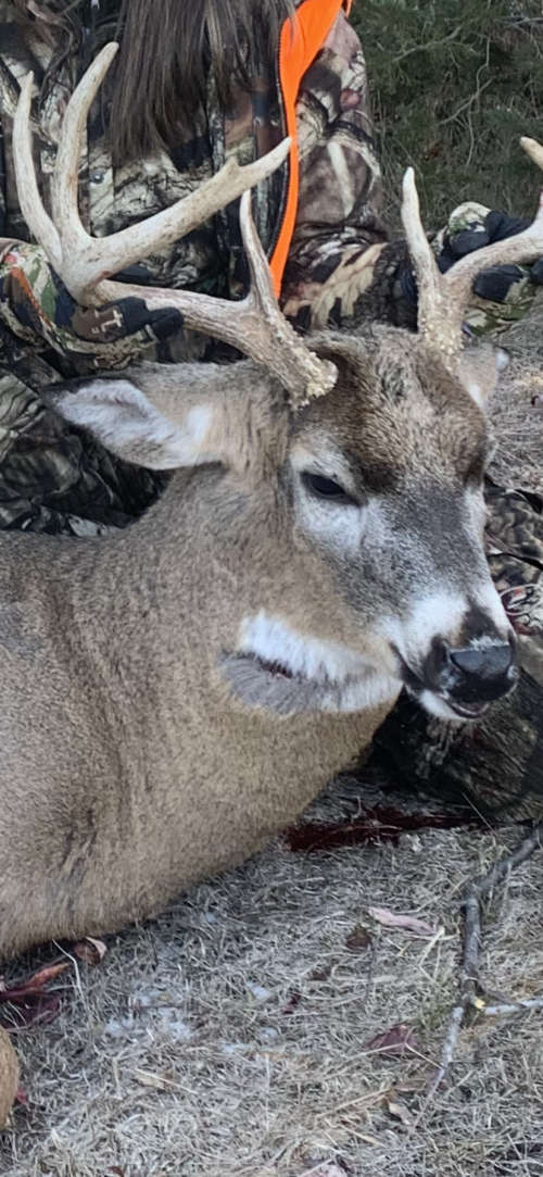 1C7D05B1-CA59-48E4-8C5B-3CAC03BB59E5.png 1C7D05B1-CA59-48E4-8C5B-3CAC03BB59E5.png