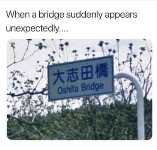 8B3103F8-18E6-4CD4-B7C8-022FB04D5186.jpeg
