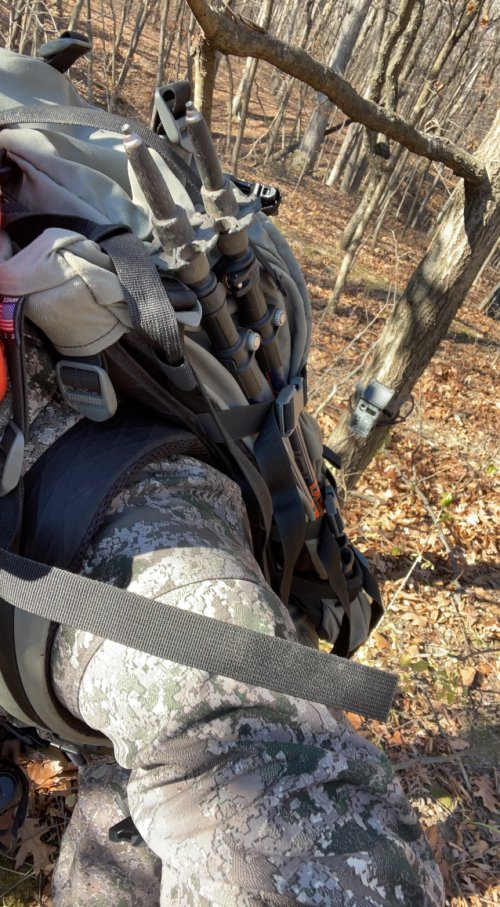 E0F7DD16-C634-4420-A0FF-CB3E6487561A.jpeg E0F7DD16-C634-4420-A0FF-CB3E6487561A.jpeg