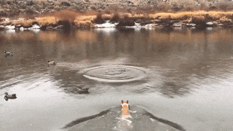 1669127286777.gif 1669127286777.gif