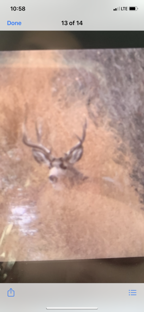 9726B888-3004-4F37-AD53-5BD53C151C86.png