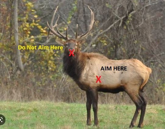 elk target.JPG elk target.JPG