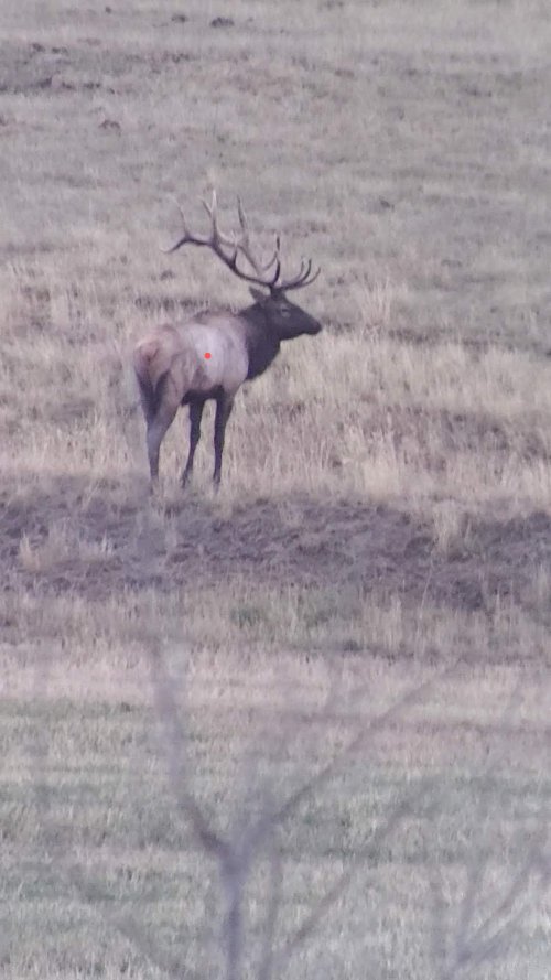 VideoCapture_20201022-131629~2.jpg