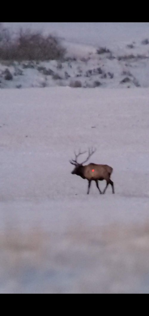 Screenshot_20201023-074653_Video Player~2.jpg