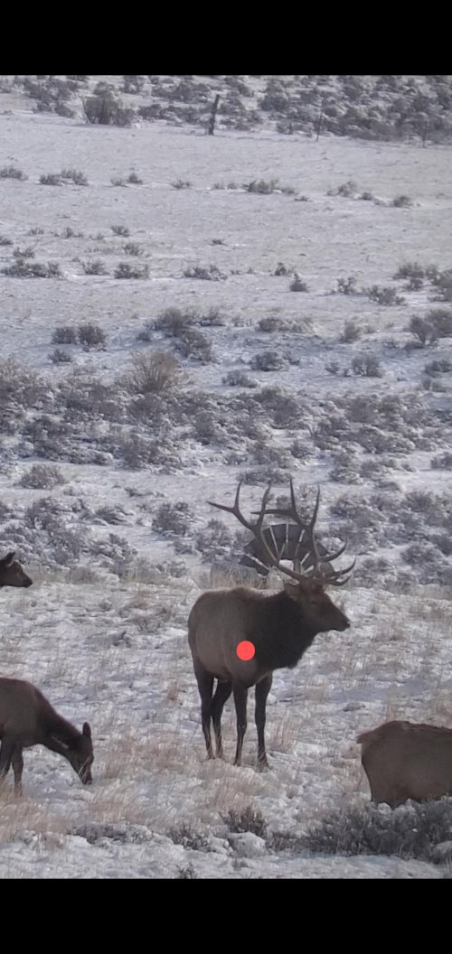 Screenshot_20201023-115916_Video Player~2.jpg