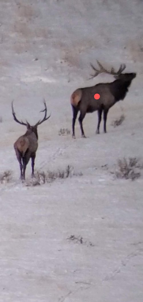 Screenshot_20201023-131156_Video Player~2.jpg