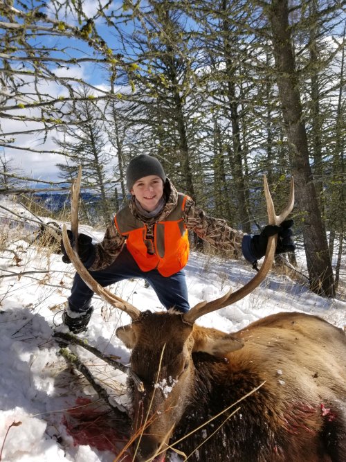 Smiling Caden's first bull elk.jpg