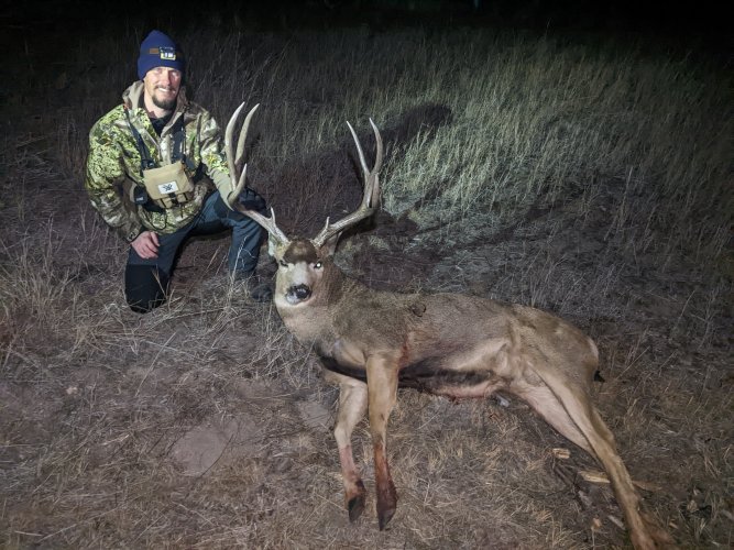 20221203_bigGiantBuck2.jpg 20221203_bigGiantBuck2.jpg