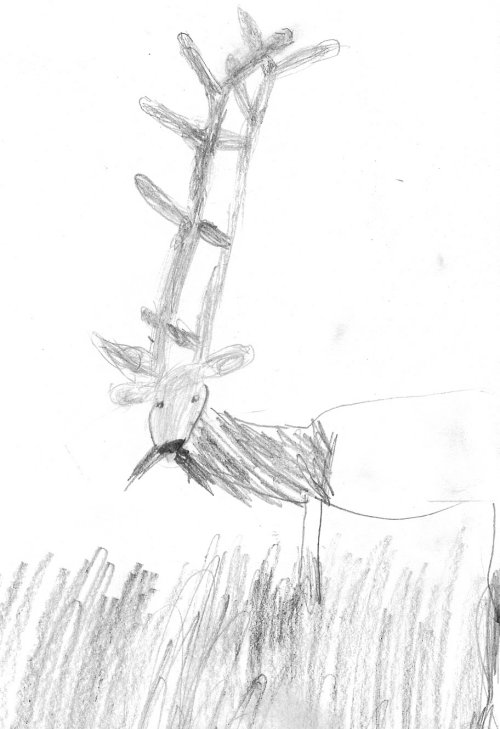 elk 002.jpg