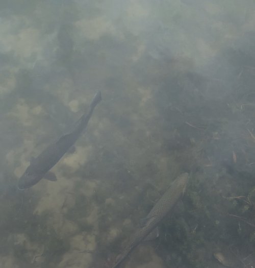 149AD235-834B-4186-AD38-2E2662DE7792.jpeg 149AD235-834B-4186-AD38-2E2662DE7792.jpeg