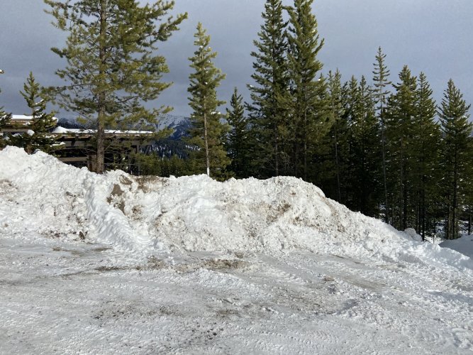 452495DA-C885-432B-BC61-AC09CA527191.jpeg 452495DA-C885-432B-BC61-AC09CA527191.jpeg