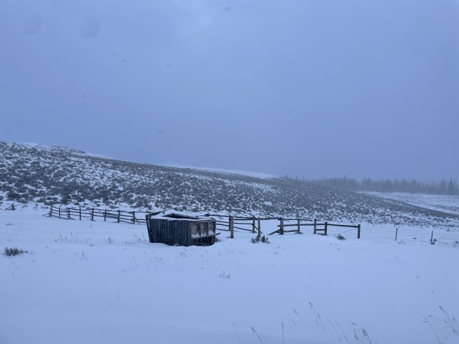 IMG_4517.JPG IMG_4517.JPG