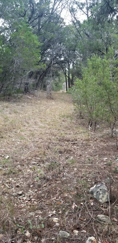20221210_080351.jpg 20221210_080351.jpg