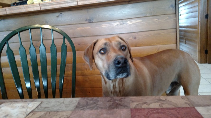 IMG_20221212_080242407.jpg IMG_20221212_080242407.jpg