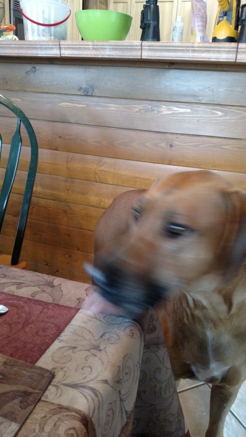 IMG_20221212_082520994.jpg IMG_20221212_082520994.jpg