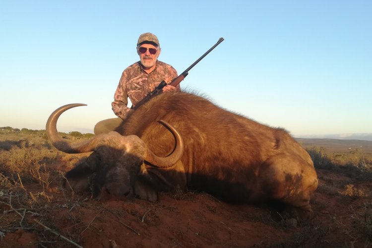 2019-08-26 buffalo posed(2).JPG 2019-08-26 buffalo posed(2).JPG