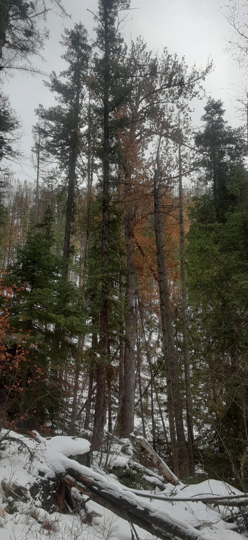 20221127_114348.jpg 20221127_114348.jpg