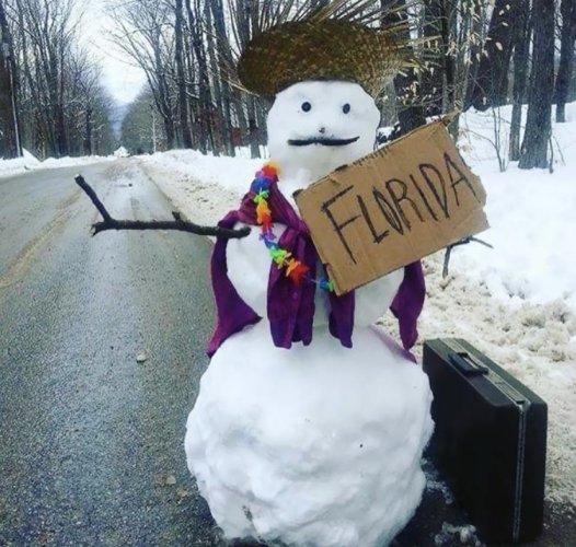 1E2F7FBC-CC59-4375-B23A-47727DC710DD.jpeg 1E2F7FBC-CC59-4375-B23A-47727DC710DD.jpeg