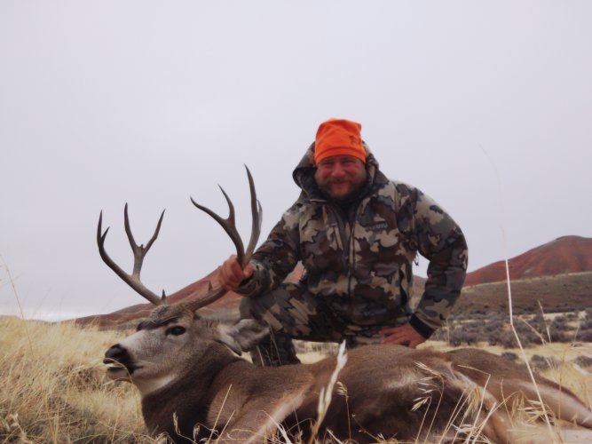 IMG_20221108_152230.jpg IMG_20221108_152230.jpg